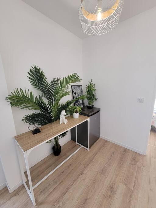 Superbe T2 Avec Parking Apartment Albi Bagian luar foto
